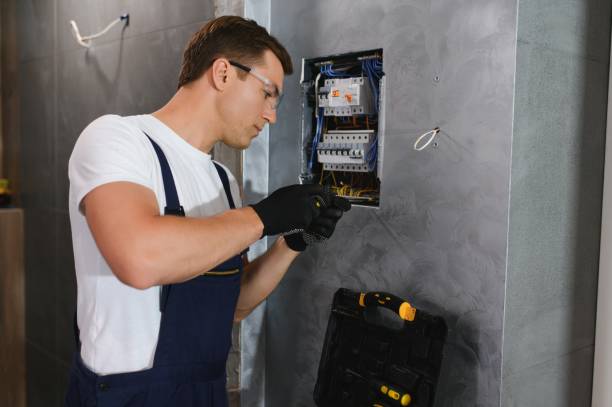 Best Electrical Repair Services  in St Clair Shores, MI