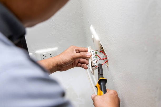 Best Electrician for Home Renovation  in St Clair Shores, MI