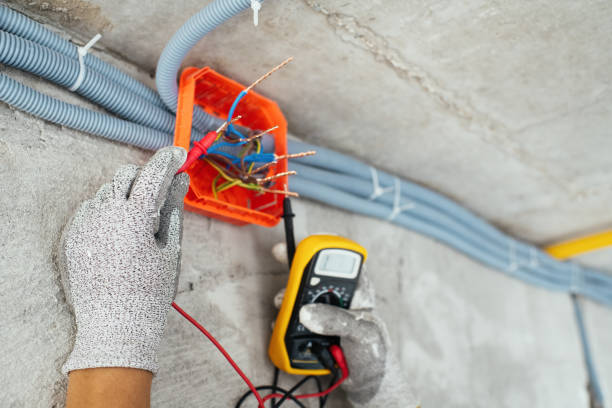 Best Affordable Electrician  in St Clair Shores, MI